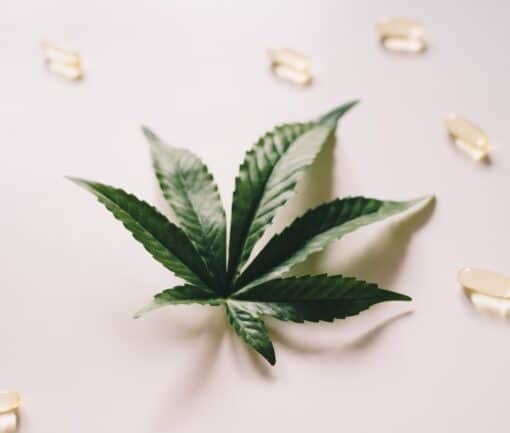 cbd health benefits and lesser known effects
