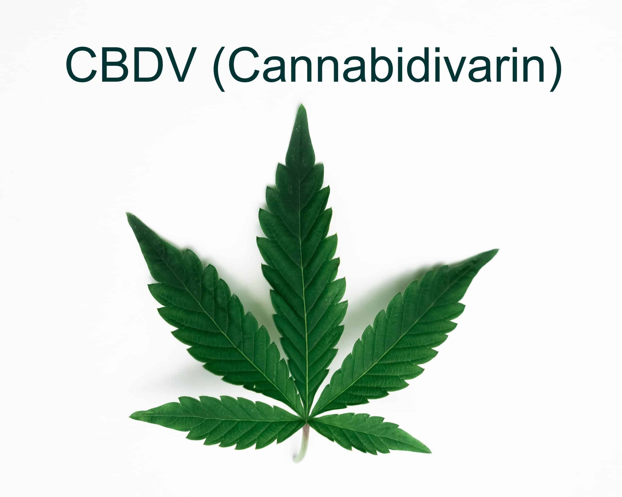 CBDV (Cannabidivarin) What Is It, Uses & Benefits