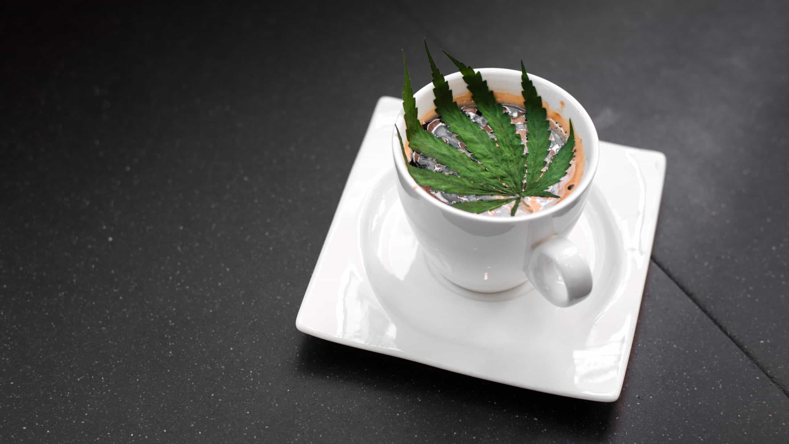 Learn What It Takes to Open Up a CBD Café
